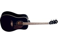 Акустическая гитара Washburn OG2 B  