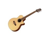 Акустическая гитара TAKAMINE G260   