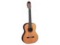 Акустическая гитара Paco Castillo Model 205 SPRUCE  