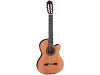 Электро акустическая гитара Paco Castillo Model 234 TE  