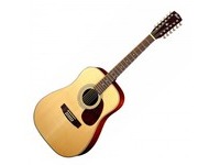 Акустическая гитара CORT Earth70-12 NS 12 струн  