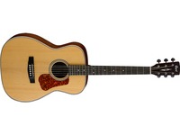Акустическая гитара CORT L100C NS  