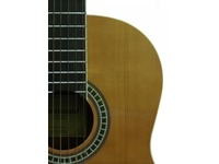 Классическая гитара Maxwood MC-6504  