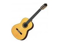 Акустическая гитара Paco Castillo Model 206 Именная модель (Lucas Julia)  