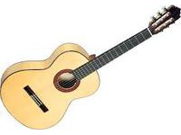 Акустическая гитара Paco Castillo Model 213 F  