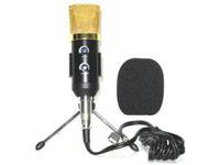 Студийный конденсаторный микрофон BIG LM1041 USB   