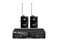 Радиосистема DV audio MGX-24B с гарнитурами комплект